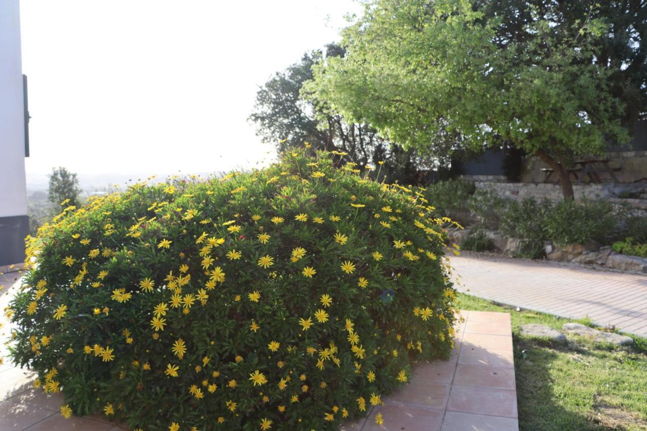 Casa Do Horizonte Apartment Bombarral Exterior photo